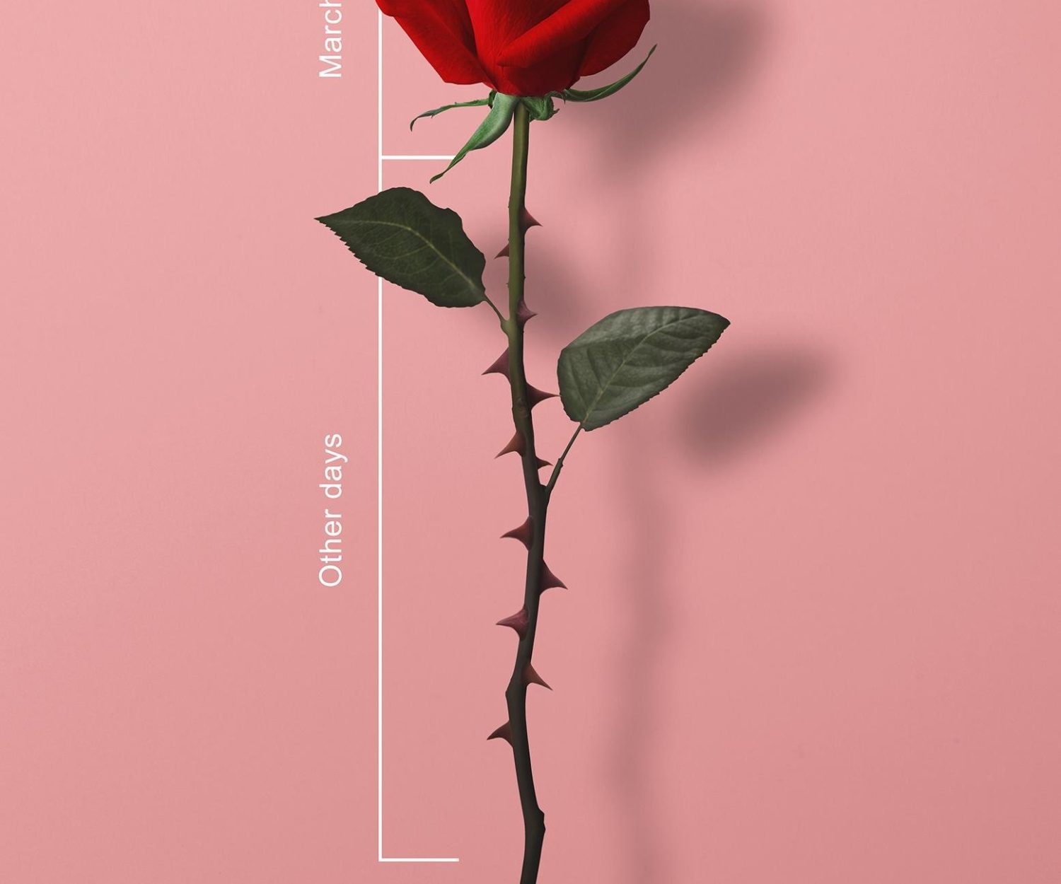 Anzeige zum Weltfrauentag 2018